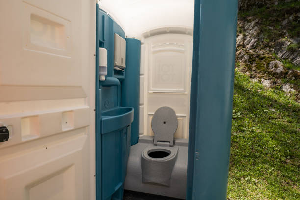 Best Affordable portable toilet rental  in Lake Village, AR